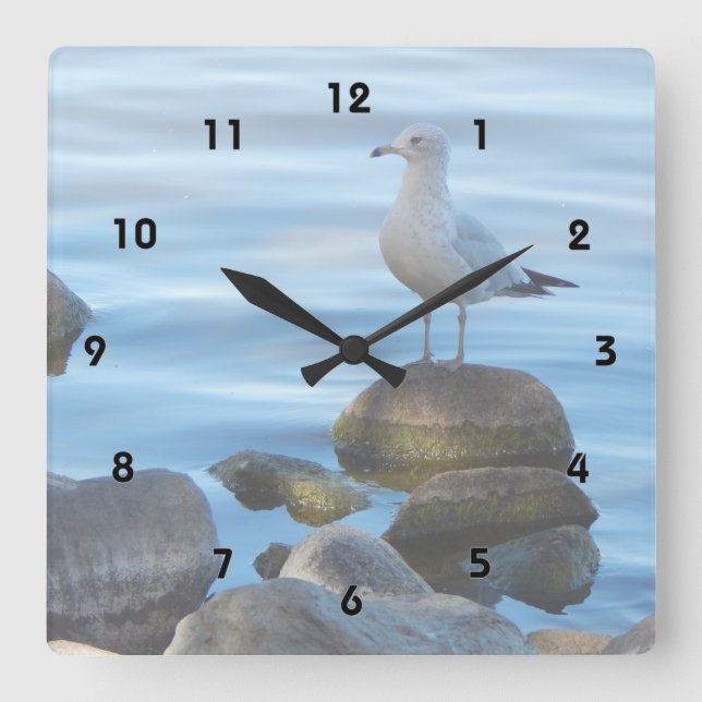 Reloj Cuadrado Gaviota sobre rocas (Anverso)