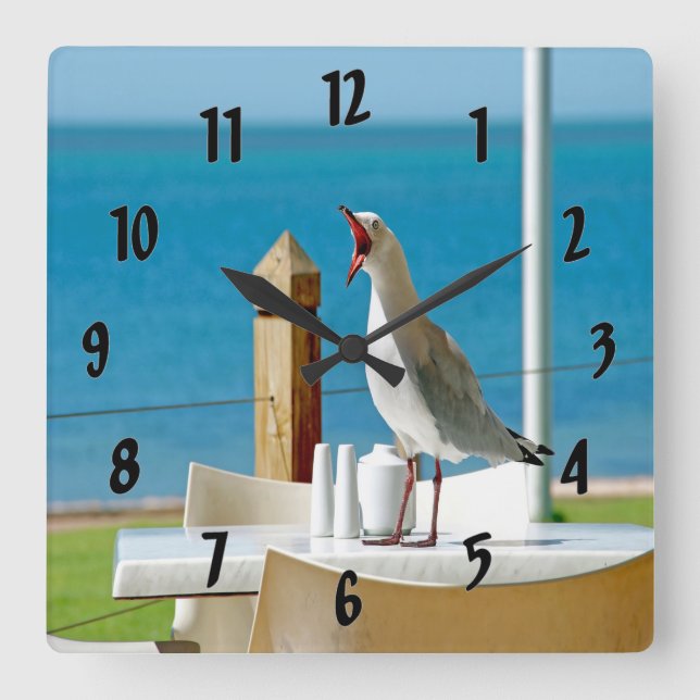 Reloj Cuadrado Gaviota tonta (Anverso)