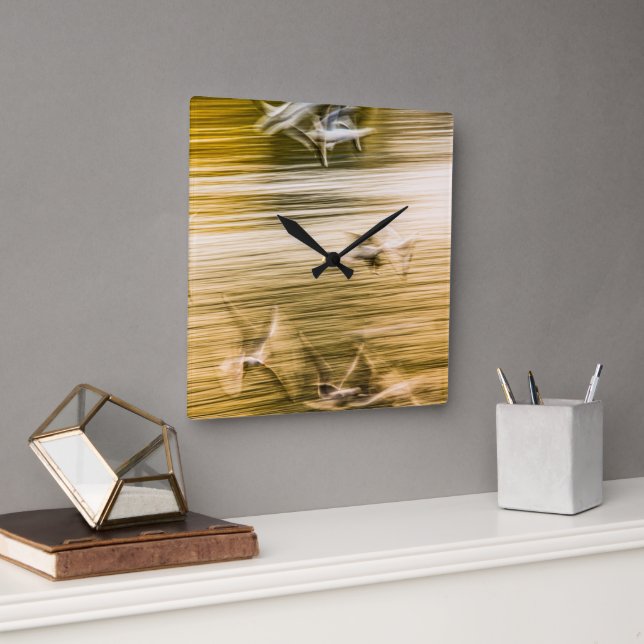 Reloj Cuadrado Gaviotas voladoras - abstractas (Oficina)