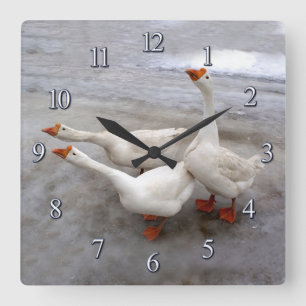 Reloj Cuadrado Geese white