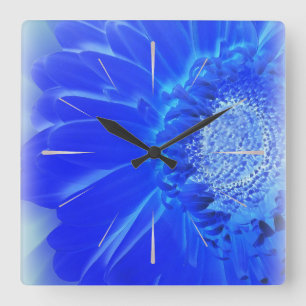 Reloj Cuadrado gerbera azul eléctrico