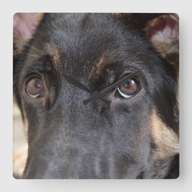 Reloj Cuadrado German Shepherd by Shirley Taylor (Anverso)