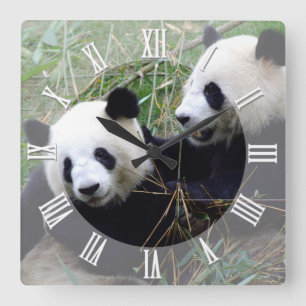 Reloj Cuadrado Gigante Panda Bears do Love jugando / familia Pand