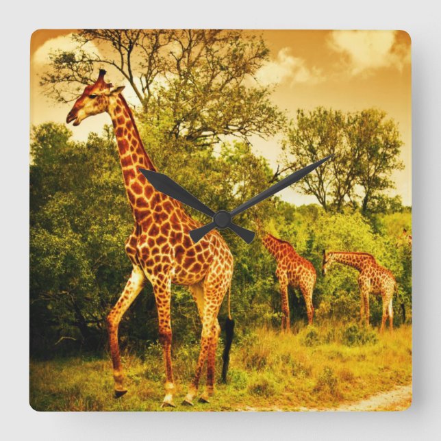 Reloj Cuadrado Girafas de Sudáfrica (Anverso)