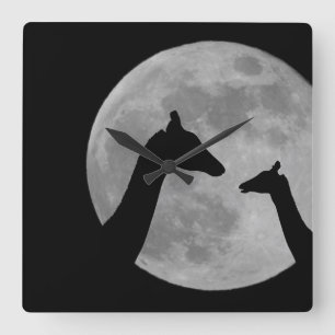 Reloj Cuadrado Giraffes En La Noche De Fullmoon