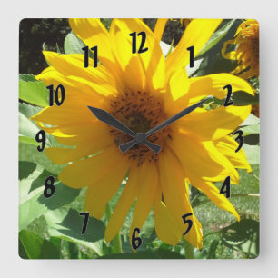 Reloj Cuadrado Girasol con abejas