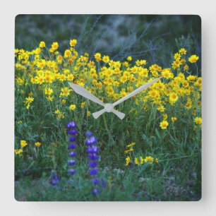 Reloj Cuadrado Girasol y lavanda