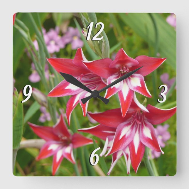 Reloj Cuadrado Gladiolas Rojo y Blanco Botánico (Anverso)