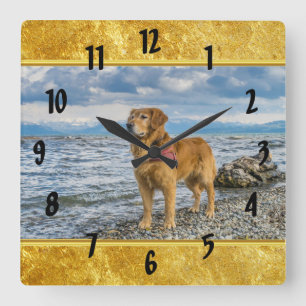 Reloj Cuadrado Golden Retriever de pie en la roca azul del océano