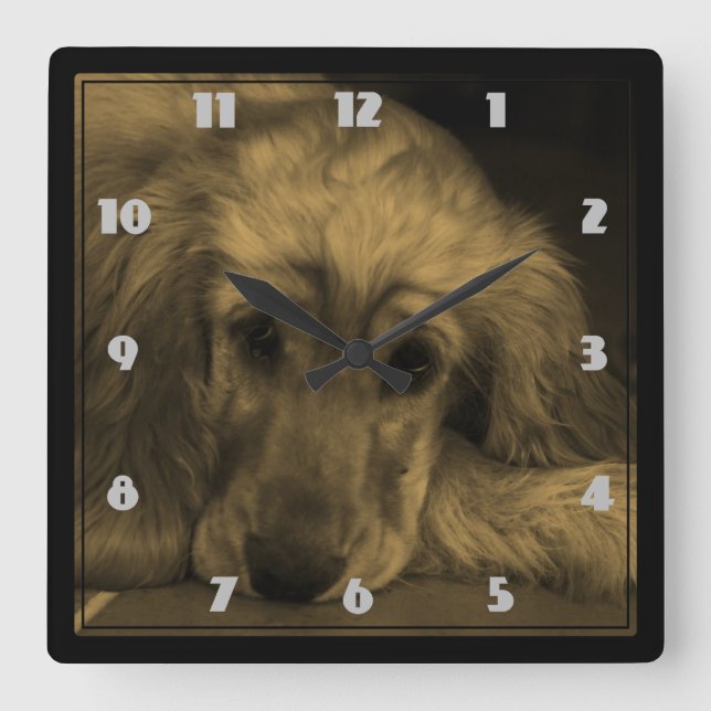 Reloj Cuadrado Golden retriever en tonos de la sepia (Anverso)