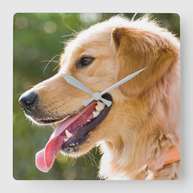 Reloj Cuadrado Golden Retriever Profile With Tongue Out (Anverso)