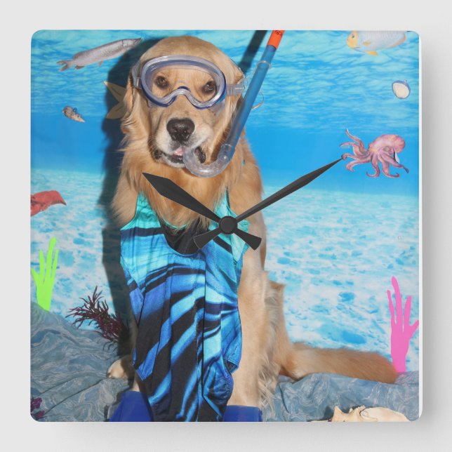 Reloj Cuadrado Golden Retriever Snorkeler (Anverso)