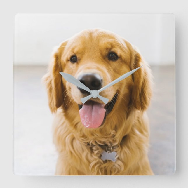 Reloj Cuadrado Golden Retriever Sonriendo (Anverso)