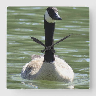Reloj Cuadrado Goose