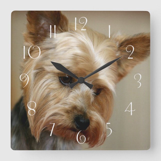 Reloj Cuadrado Gorgeo Yorkshire Terrier (Anverso)