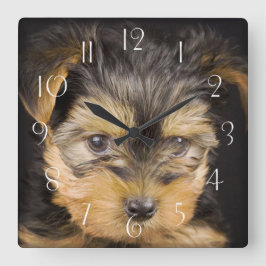 Reloj Cuadrado Gorgeo Yorkshire Terrier