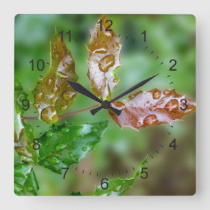 Reloj Cuadrado gotas de lluvia en hojas