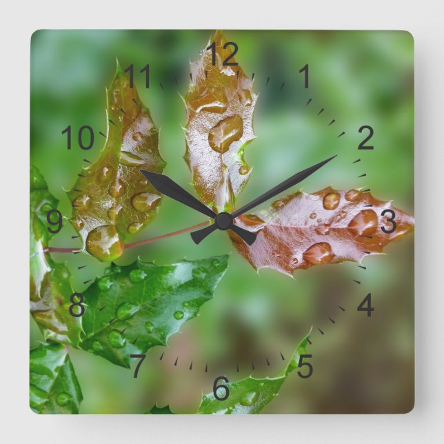 Reloj Cuadrado gotas de lluvia en hojas (Anverso)
