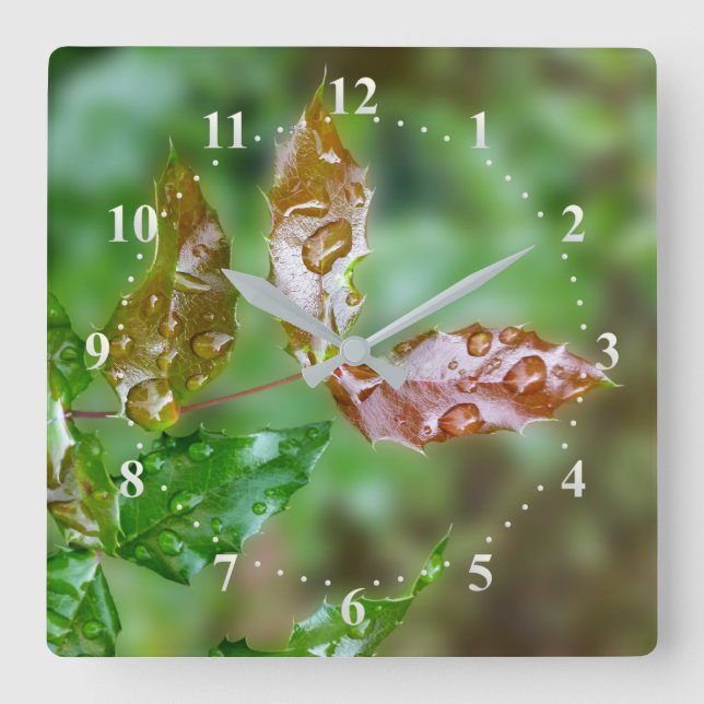 Reloj Cuadrado gotas de lluvia en hojas (Anverso)