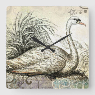 Reloj Cuadrado Gráfico de cisne
