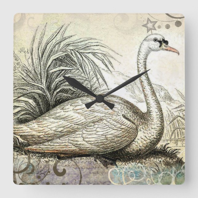 Reloj Cuadrado Gráfico de cisne (Anverso)