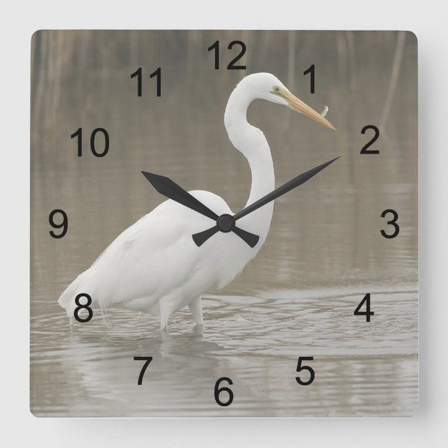 Reloj Cuadrado Gran Egret Blanco (Anverso)