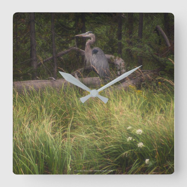 Reloj Cuadrado Gran garza azul 8917 (Anverso)