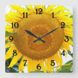 Reloj Cuadrado Gran Girasol Amarillo Floral