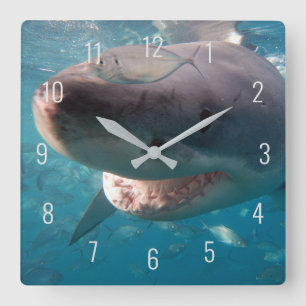 Reloj Cuadrado Gran tiburón blanco cerca de Australia subacuática