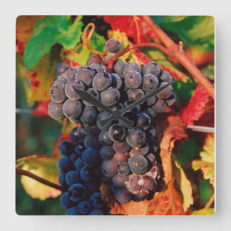 Reloj Cuadrado Grape Cluster