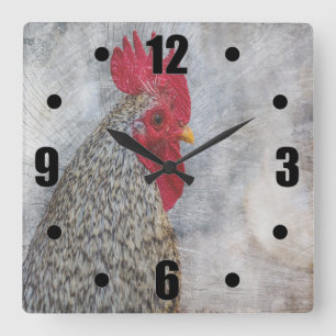 Reloj Cuadrado Gray Country Rooster
