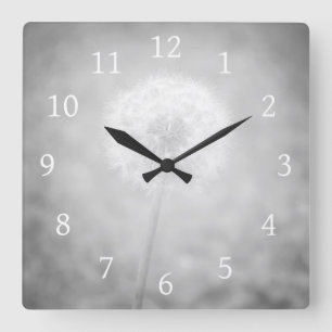 Reloj Cuadrado Gray Dandelion Photo 31
