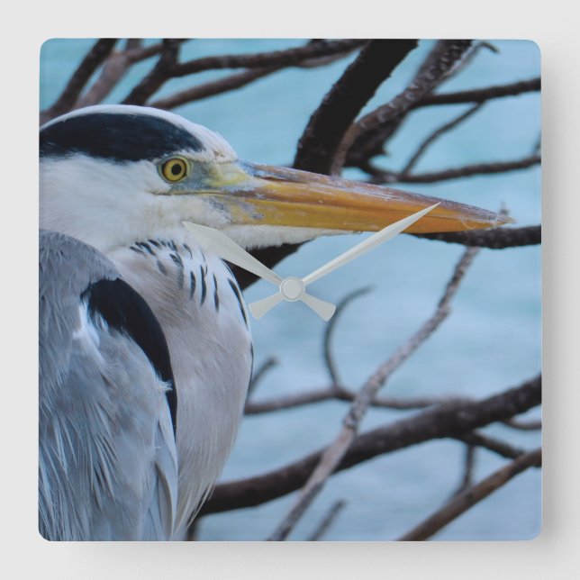 Reloj Cuadrado Gray Heron (Anverso)