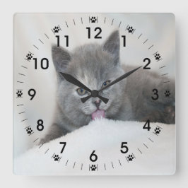 Reloj Cuadrado Gray Kitten Liceo Nieve