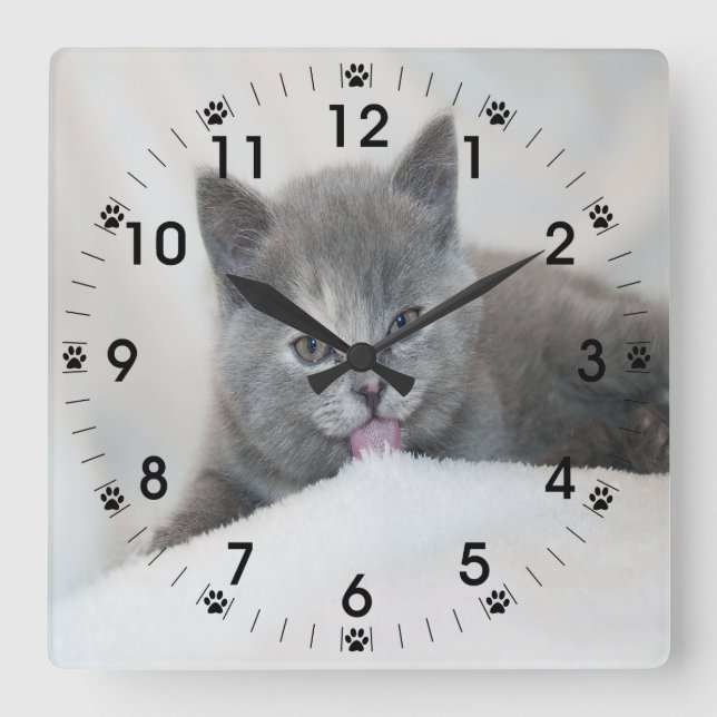 Reloj Cuadrado Gray Kitten Liceo Nieve (Anverso)