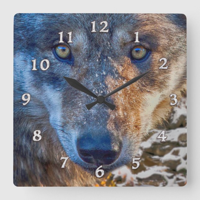 RELOJ CUADRADO GRAY WOLF WINTER'S RANGER (Anverso)