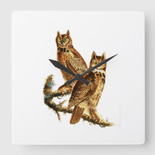 Reloj Cuadrado Great Horned Owl - Hoot Owl