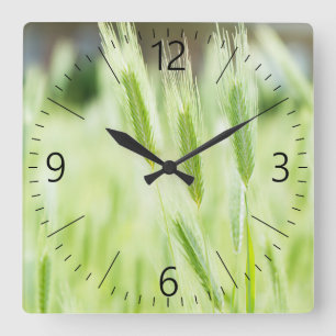 Reloj Cuadrado Green grass