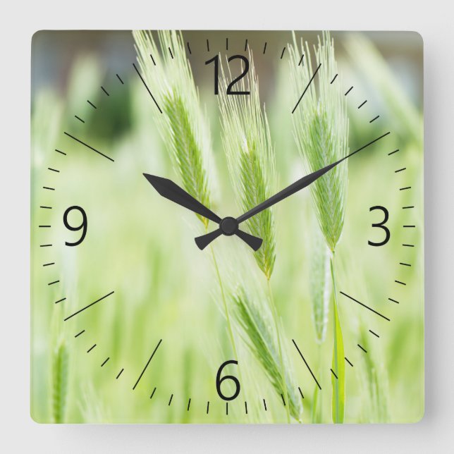 Reloj Cuadrado Green grass (Anverso)