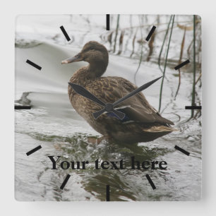 Reloj Cuadrado Grey duck on dark the lake