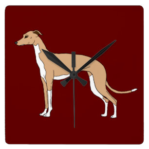 Reloj Cuadrado Greyhound italiano - Fausto azul