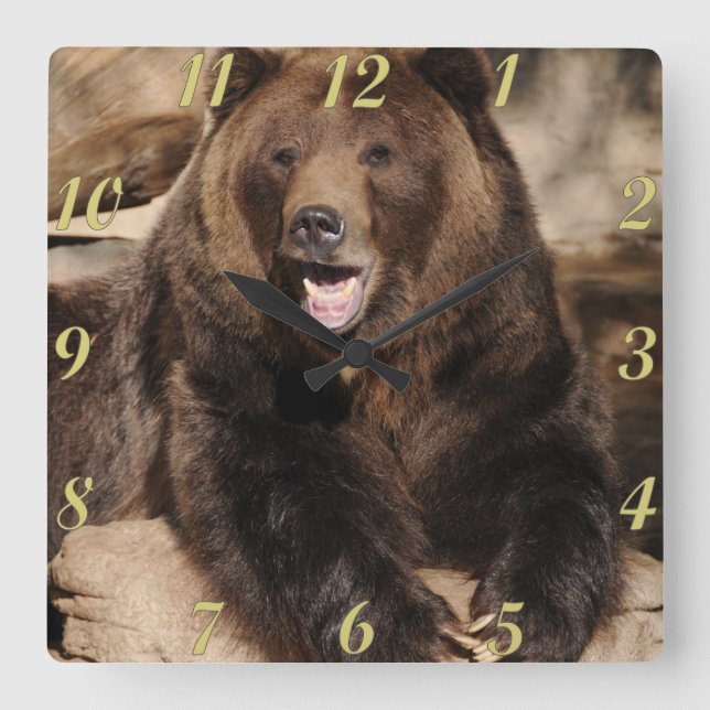 Reloj Cuadrado Grizzly Bear Boar (Anverso)