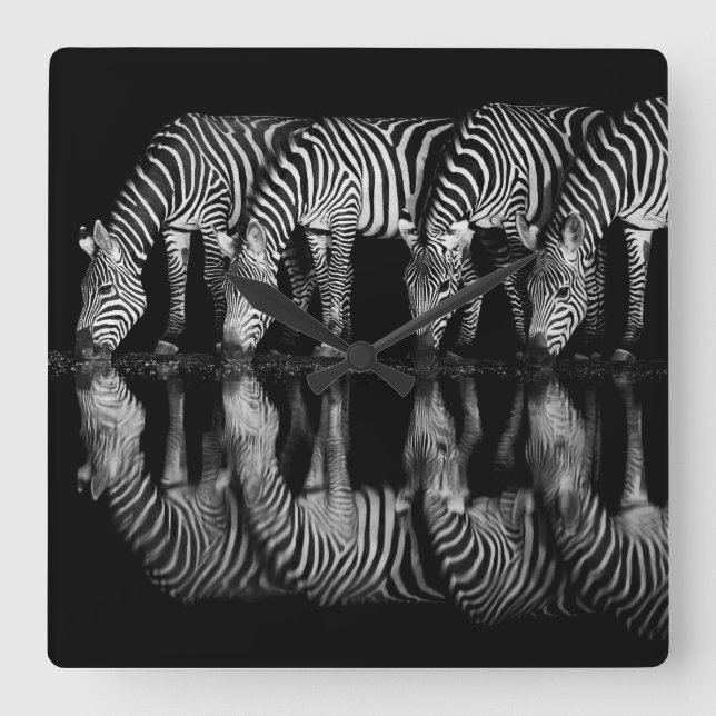 Reloj Cuadrado Group of Plains Zebra Drink Together at Night (Anverso)