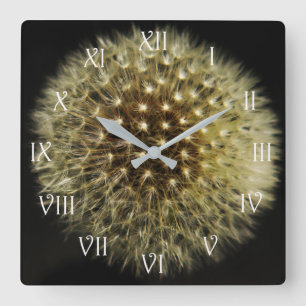 Reloj Cuadrado Guión blanco Dandelion Seedhead Roman wccn