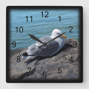Reloj Cuadrado Gull de arenque en un muelle de rock