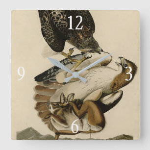 Reloj Cuadrado Halcón de cola roja de Aves de América de Audubon