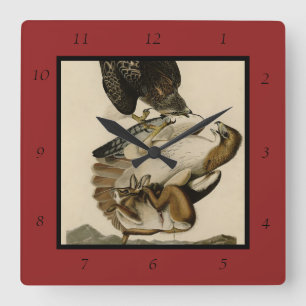 Reloj Cuadrado Halcón de cola roja de Aves de América de Audubon