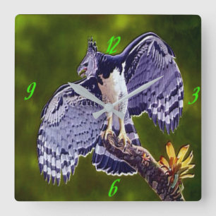 Reloj Cuadrado "Harpy Eagle" Acrylic Wall Clock