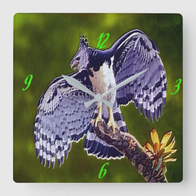 Reloj Cuadrado "Harpy Eagle" Acrylic Wall Clock (Anverso)