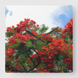 Reloj Cuadrado Hawaiian Royal Poinciana Flowering Tree